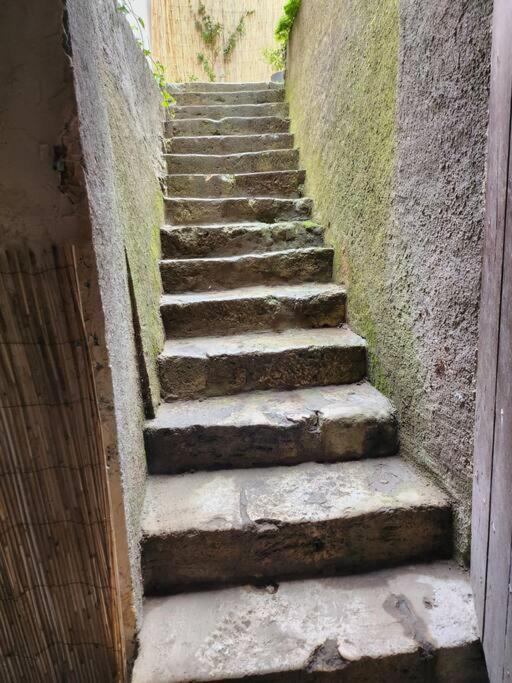 La Maisonnette Des Hautes Granges Blois Exterior photo